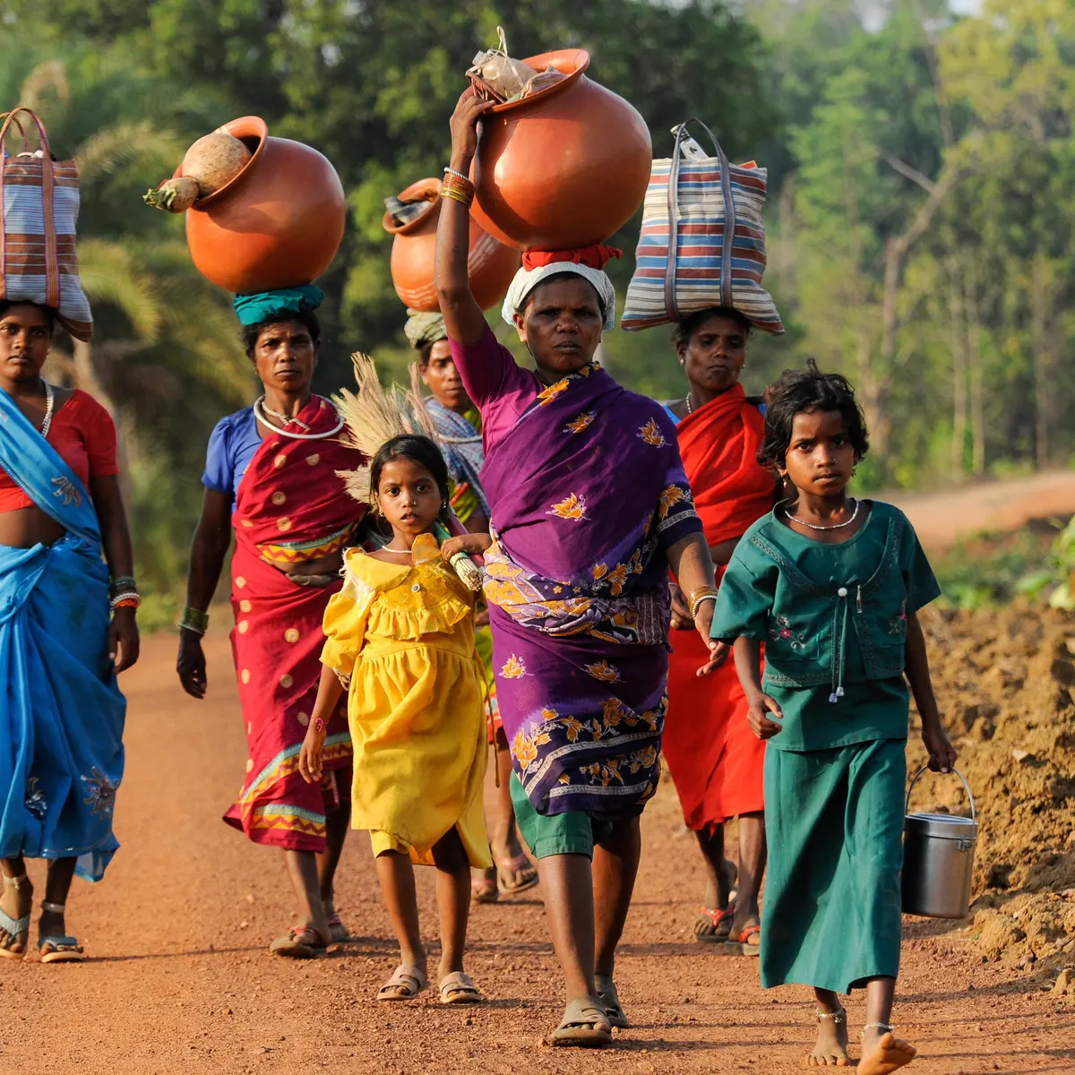 Tribal Women Livelihood